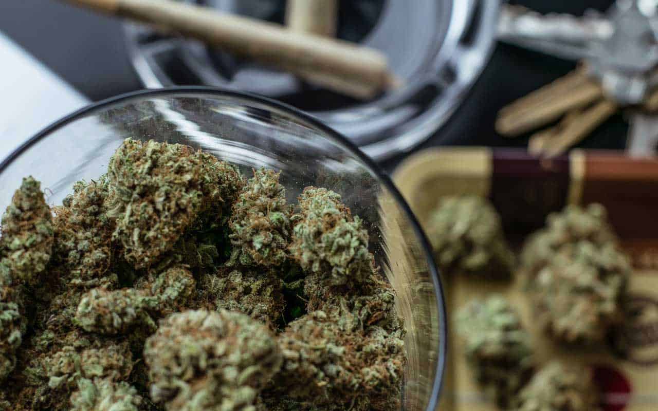 Premium cannabis vs Affordable Weed | Chronic Paradise Canada
