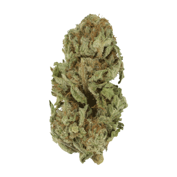 Golden Goat | Chronic Paradise Canada