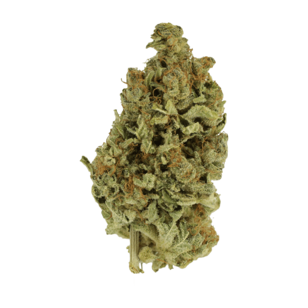 Cali Gold | Chronic Paradise Canada