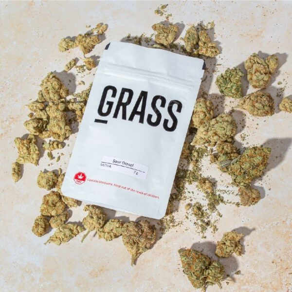 1/2OZ Sample Pack (AAA) – SAVE 20% | Chronic Paradise Canada