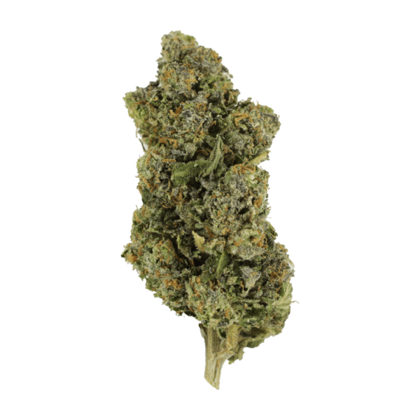 Jokerz | Chronic Paradise Canada