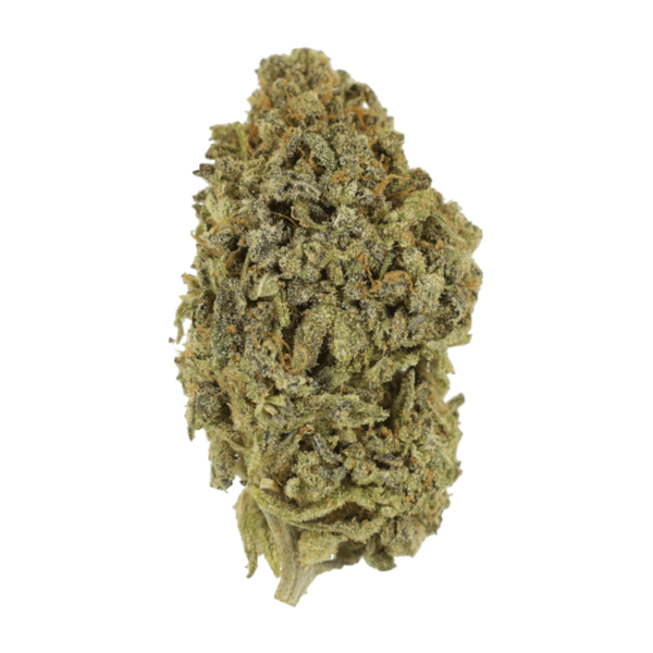 Watermelon Gelato | Chronic Paradise Canada
