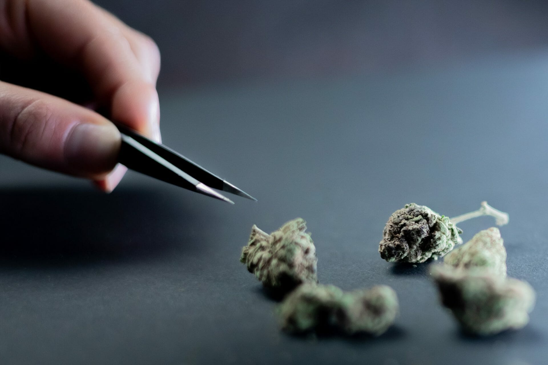 Buy cannabis Online Canada | Chronic Paradise Canada