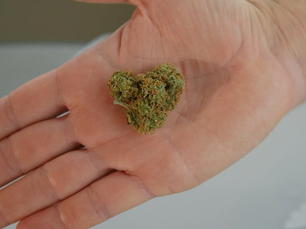 cannabis marijuana Canada | Chronic Paradise Canada