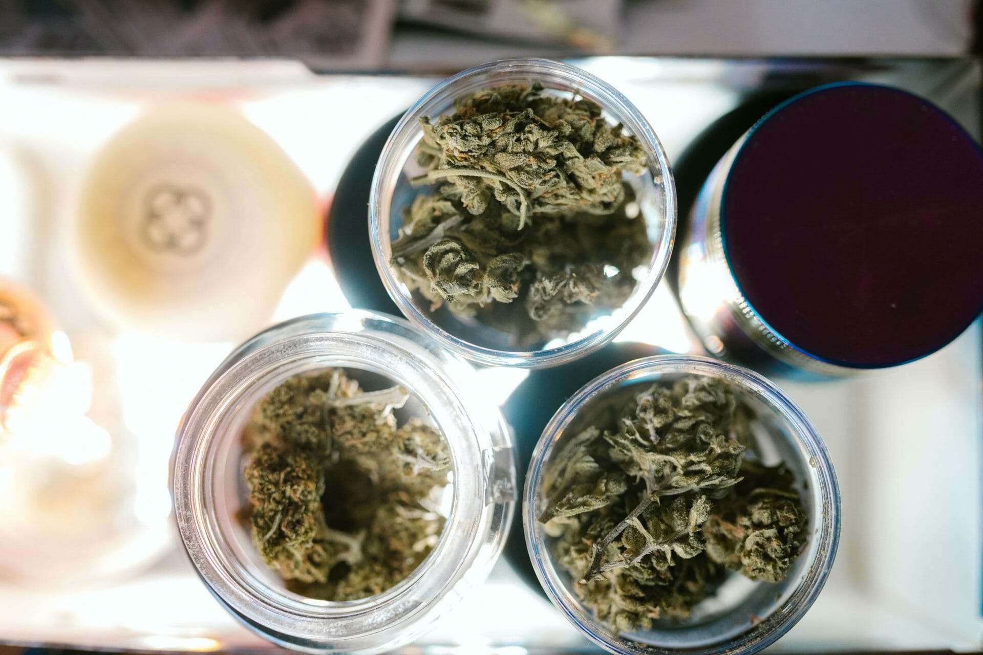 Craft cannabis canada | Chronic Paradise Canada