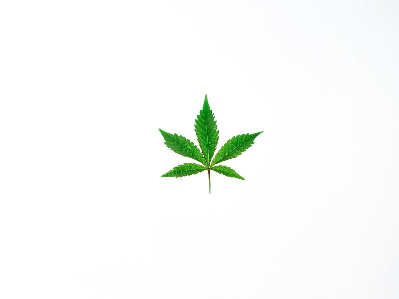 Benefits of Shopping in a BC cannabis Online Dispensary | Chronic Paradise Canada