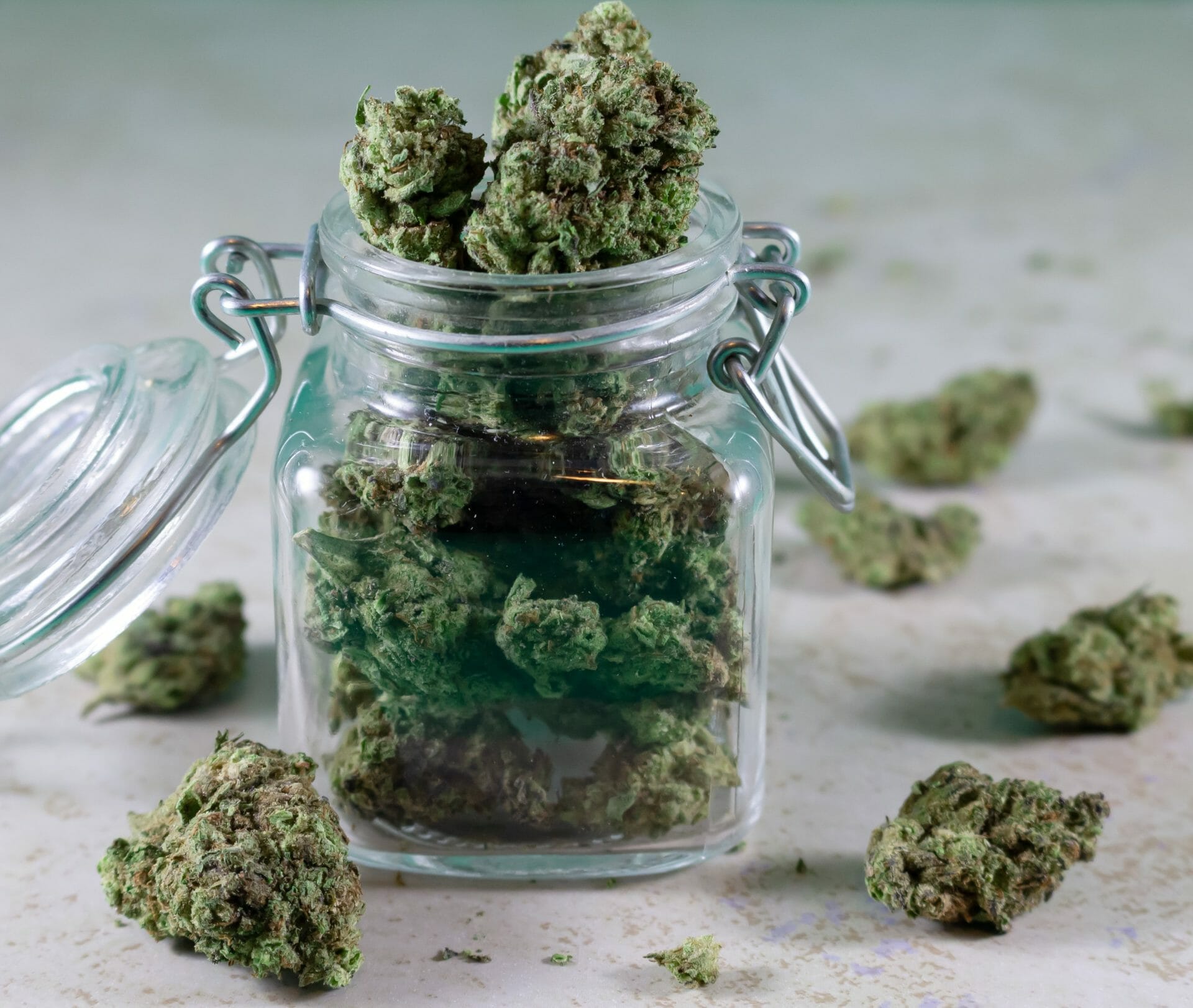 | Chronic Paradise Canada Grasslife - cannabis Dispensaries | Chronic Paradise Canada