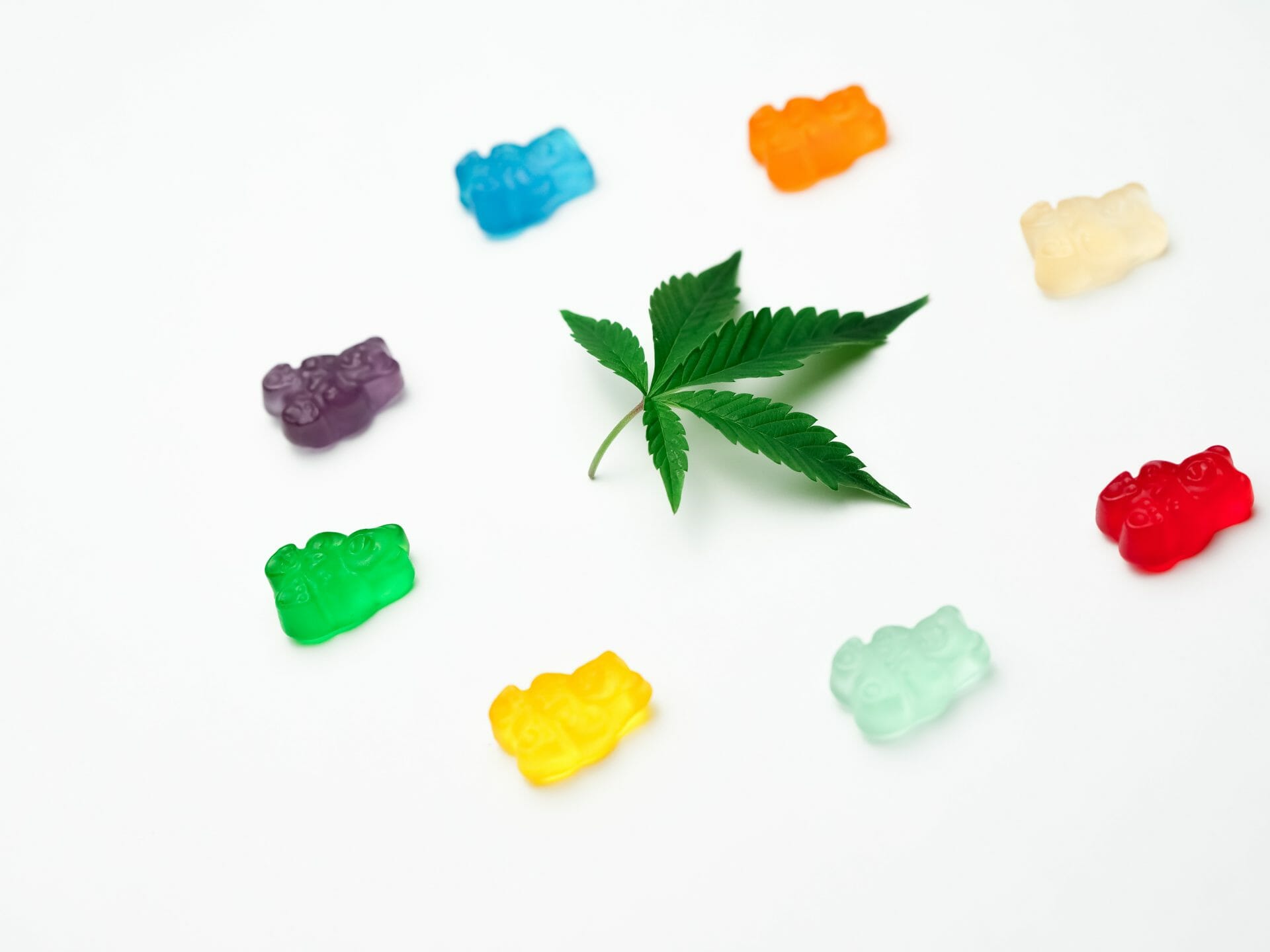 | Chronic Paradise Canada Grasslife - cannabis Dispensaries | Chronic Paradise Canada