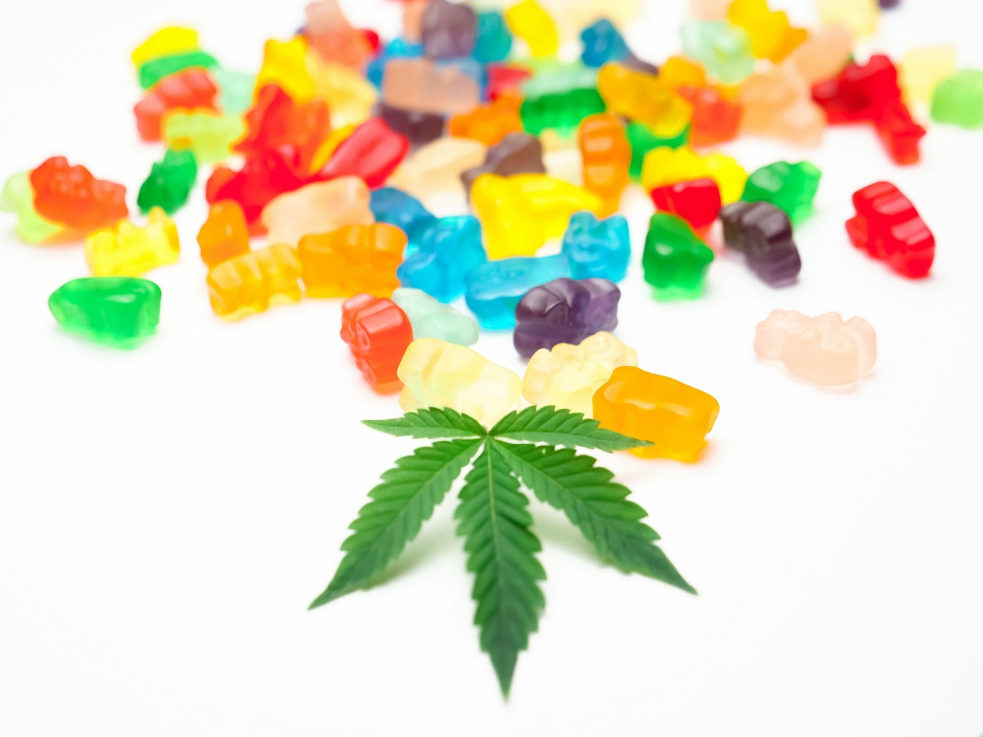 Weed Gummy | Chronic Paradise Canada