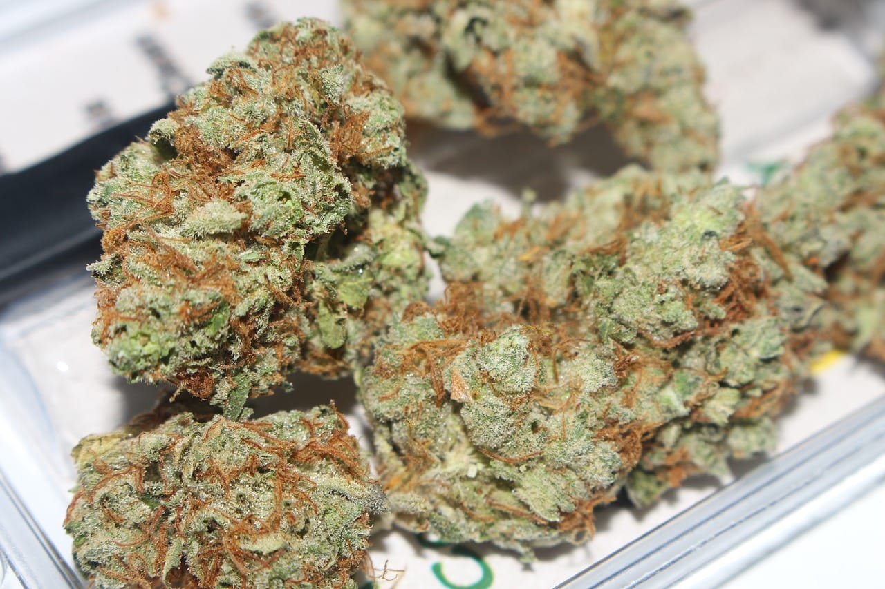 Hybrid cannabis Strains | Chronic Paradise Canada